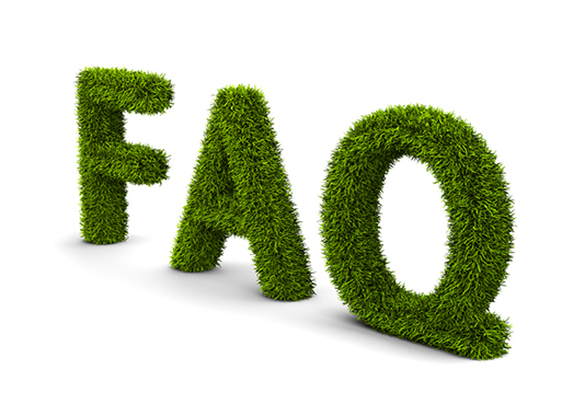 Spring Lawn Care FAQ